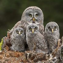 Sztafeta mądrości - symboliczna